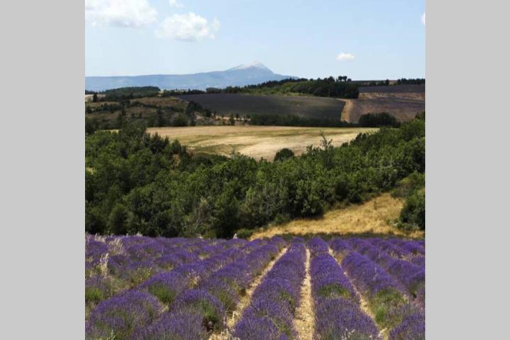 Chambre D Hotes Dans Le Vaucluse Mazan Buitenkant foto