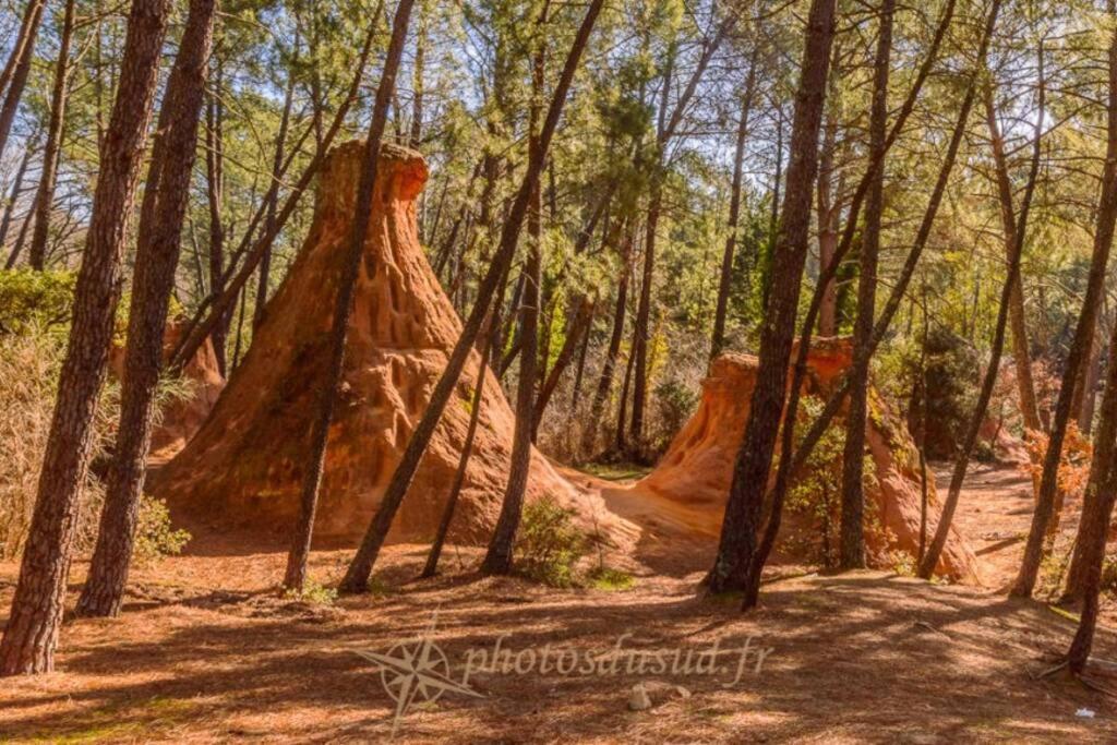 Chambre D Hotes Dans Le Vaucluse Mazan Buitenkant foto