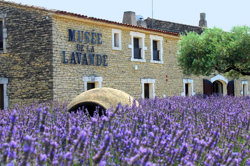 Chambre D Hotes Dans Le Vaucluse Mazan Buitenkant foto