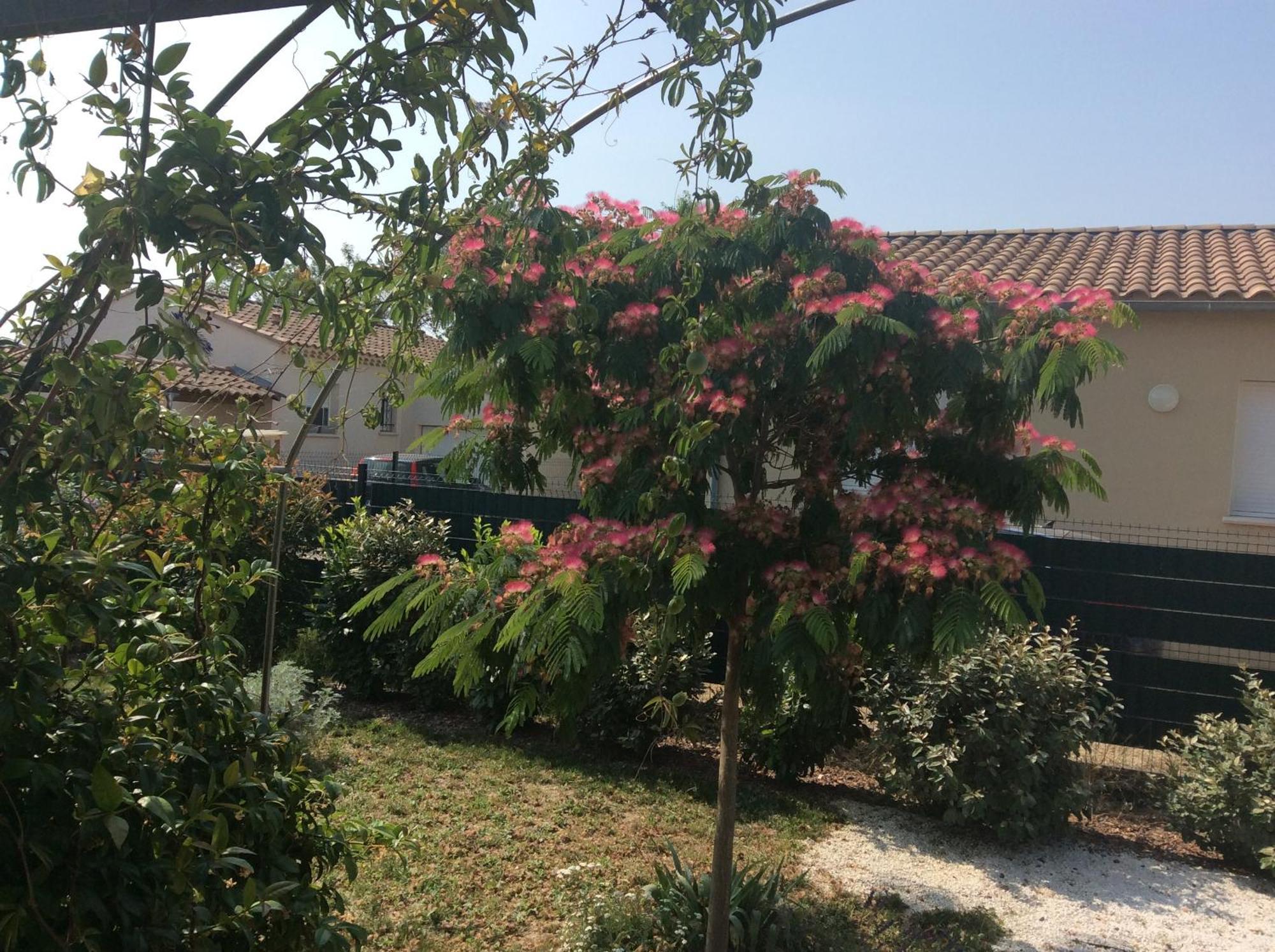 Chambre D Hotes Dans Le Vaucluse Mazan Buitenkant foto